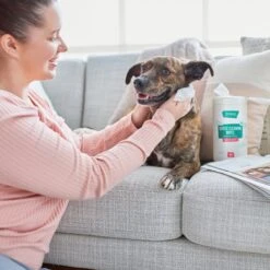Frisco Gentle Cleaning Waterless Grooming Wipes For Puppies & Kittens, Green Tea Scent -Frisco Shop 291592 PT4. AC SS1800 V1627306695