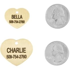 Frisco Brass Personalized Dog & Cat ID Tag, Heart 8 Frisco Brass Personalized Dog & Cat ID Tag, Heart -Frisco Shop 296197 PT5. AC SS1800 V1628186498