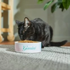 Frisco Watercolors Ceramic Personalized Dog Bowl 10 Frisco Watercolors Ceramic Personalized Dog Bowl -Frisco Shop 296664 PT3. AC SS1800 V1625764646