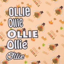 Frisco Quirky Thanksgiving Personalized Dog & Cat Bandana -Frisco Shop 296986 PT4. AC SS1800 V1627655269