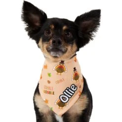 Frisco Quirky Thanksgiving Personalized Dog & Cat Bandana -Frisco Shop 296986 PT6. AC SS1800 V1627654020