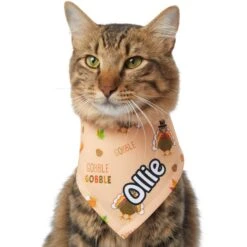 Frisco Quirky Thanksgiving Personalized Dog & Cat Bandana -Frisco Shop 296986 PT7. AC SS1800 V1627654903