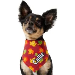 Frisco Fall Leaves Personalized Dog & Cat Bandana -Frisco Shop 296994 PT6. AC SS1800 V1627654351