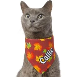 Frisco Fall Leaves Personalized Dog & Cat Bandana -Frisco Shop 296994 PT7. AC SS1800 V1627655275