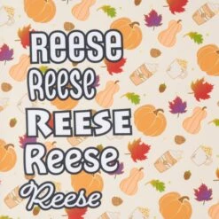 Frisco Pumpkin Spice Personalized Dog & Cat Bandana 13 Frisco Pumpkin Spice Personalized Dog & Cat Bandana -Frisco Shop 296998 PT4. AC SS1800 V1627655195