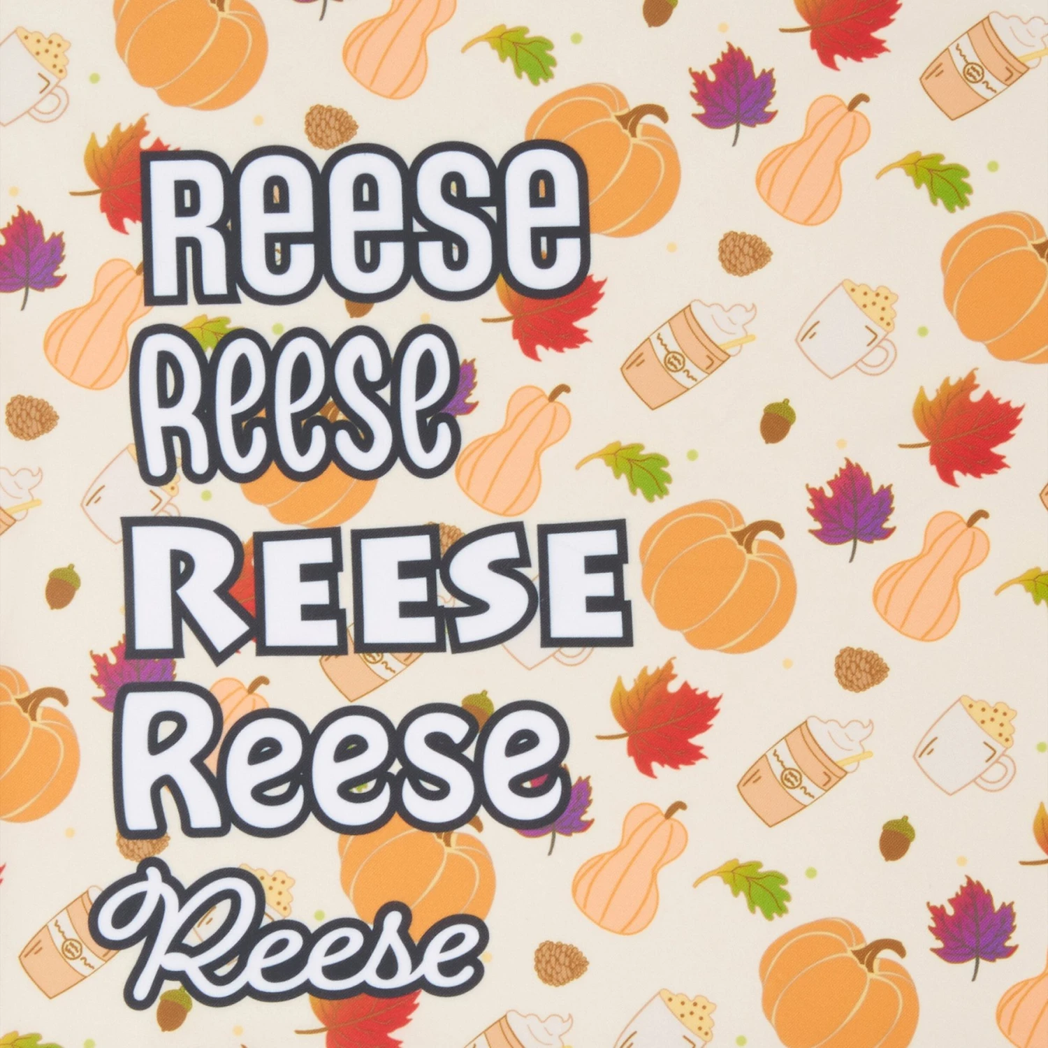 Frisco Pumpkin Spice Personalized Dog & Cat Bandana 5 Frisco Pumpkin Spice Personalized Dog & Cat Bandana - Image 5