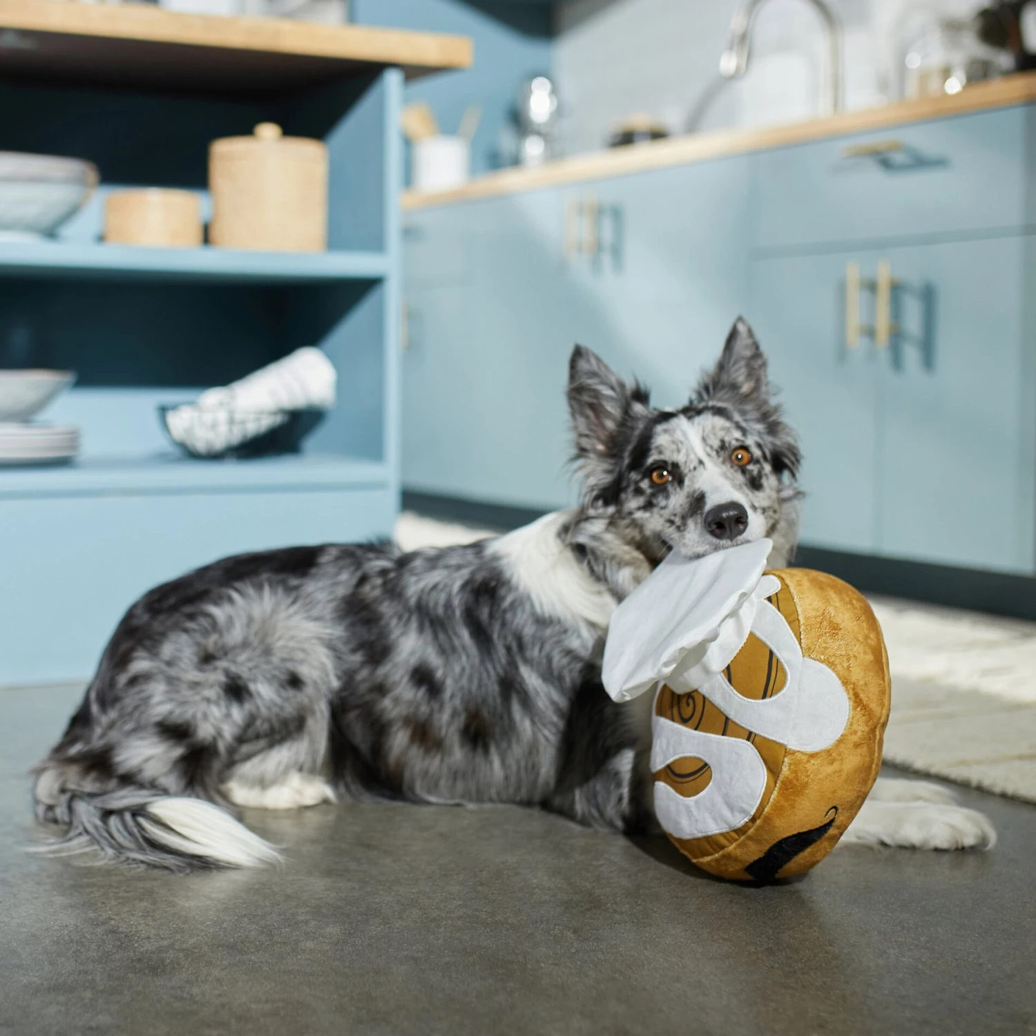 Frisco Brunch Cinnamon Roll Jumbo Plush Squeaky Dog Toy 3 Frisco Brunch Cinnamon Roll Jumbo Plush Squeaky Dog Toy - Image 3