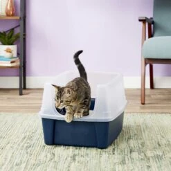 Frisco Plastic Litter Scooper With Caddy & IRIS USA Open Top Litter Box With Scatter Shield 13 Frisco Plastic Litter Scooper With Caddy & IRIS USA Open Top Litter Box With Scatter Shield -Frisco Shop 298166 PT6. AC SS1800 V1623202669