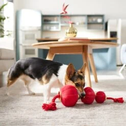 Frisco Lunar New Year Lantern Plush With Rope Squeaky Dog Toy 5 Frisco Lunar New Year Lantern Plush With Rope Squeaky Dog Toy -Frisco Shop 298885 PT3. AC SS1800 V1640269279