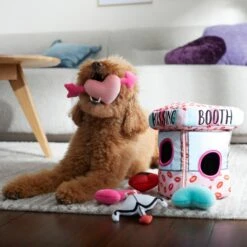 Frisco Valentine Kissing Booth Hide & Seek Puzzle Plush Squeaky Dog Toy -Frisco Shop 298943 PT3. AC SS1800 V1638987417