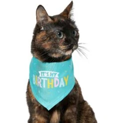 Frisco Dog & Cat Birthday Bandana & Frisco Birthday Cake Dog & Cat Hat -Frisco Shop 302374 PT3. AC SS1800 V1633076486