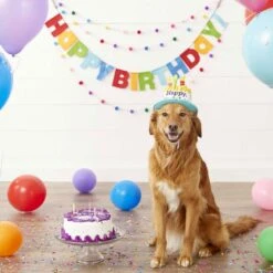 Frisco Dog & Cat Birthday Bandana & Frisco Birthday Cake Dog & Cat Hat -Frisco Shop 302374 PT6. AC SS1800 V1633067816