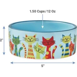 Frisco New York Non-skid Ceramic Cat Dish & Frisco New York Non-skid Ceramic Cat Bowl -Frisco Shop 302488 PT7. AC SS1800 V1623052360