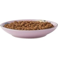 Frisco Paris Non-skid Ceramic Cat Dish & Frisco Paris Non-skid Ceramic Cat Dish 11 Frisco Paris Non-skid Ceramic Cat Dish & Frisco Paris Non-skid Ceramic Cat Dish -Frisco Shop 302490 PT2. AC SS1800 V1623058041