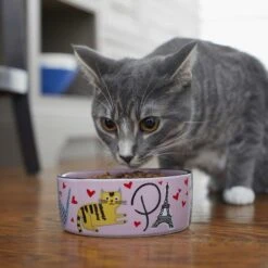 Frisco Paris Non-skid Ceramic Cat Dish & Frisco Paris Non-skid Ceramic Cat Dish 17 Frisco Paris Non-skid Ceramic Cat Dish & Frisco Paris Non-skid Ceramic Cat Dish -Frisco Shop 302490 PT8. AC SS1800 V1623043046