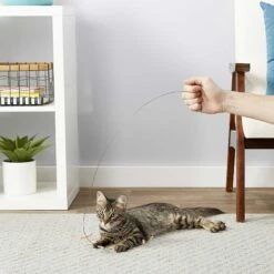 Frisco Cardboard & Wire Teaser Cat Toy & Frisco Fabric Teaser Wand Cat Toy 9 Frisco Cardboard & Wire Teaser Cat Toy & Frisco Fabric Teaser Wand Cat Toy -Frisco Shop 302538 PT3. AC SS1800 V1623035861