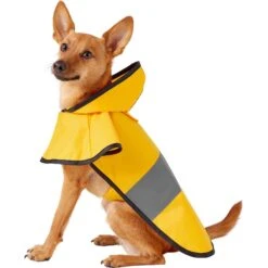 Frisco Lightweight Rainy Days Dog Raincoat & Frisco Lightweight Clear Vinyl Dog Raincoat -Frisco Shop 302814 PT1. AC SS1800 V1623060757