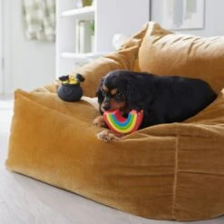 Frisco St. Patrick's Rainbow And Pot Of Gold Latex Squeaky Dog Toy -Frisco Shop 303136 PT4. AC SS1800 V1702500566