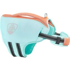 Frisco Active Dog Life Jacket & Frisco Foam Rubber Floating Fetch Ball No Squeak Dog Toy -Frisco Shop 303364 PT2. AC SS1800 V1623163059