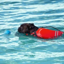 Frisco Active Dog Life Jacket & Frisco Foam Rubber Floating Fetch Ball No Squeak Dog Toy -Frisco Shop 303364 PT8. AC SS1800 V1623163654