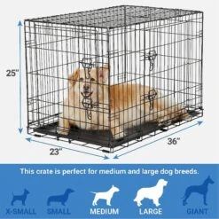 Frisco Fold & Carry Double Door Collapsible Wire Dog Crate & Mat Kit & Frisco Stainless Steel Bowl -Frisco Shop 303428 PT2. AC SS1800 V1623055045