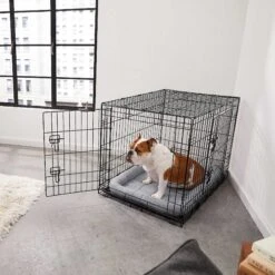 Frisco Fold & Carry Double Door Collapsible Wire Dog Crate & Mat Kit & Frisco Stainless Steel Bowl -Frisco Shop 303428 PT4. AC SS1800 V1623089543