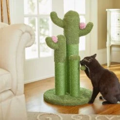 Frisco Self Warming Bolster Round Kitten Bed & Frisco Cactus Cat Scratching Post -Frisco Shop 303576 PT7. AC SS1800 V1623065551