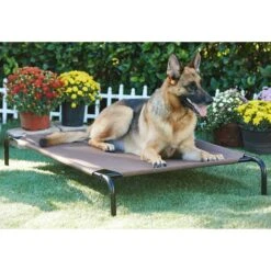 Frisco Replacement Cover For Steel-Framed Elevated Dog Bed & Frisco Steel-Framed Elevated Dog Bed 11 Frisco Replacement Cover For Steel-Framed Elevated Dog Bed & Frisco Steel-Framed Elevated Dog Bed -Frisco Shop 303624 PT5. AC SS1800 V1623084445