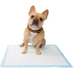 Wee-Wee Pad On Target Trainer & Frisco Premium Dog Training & Potty Pads -Frisco Shop 303768 PT6. AC SS1800 V1623076052