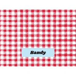 Frisco Personalized Gingham Plaid Sherpa Cat & Dog Blanket, 30" X 40" 10 Frisco Personalized Gingham Plaid Sherpa Cat & Dog Blanket, 30" X 40" -Frisco Shop 303834 PT4. AC SS1800 V1637610144