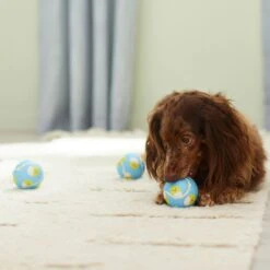 Frisco Easter Fetch Squeaky Tennis Ball Dog Toy, Medium, 3 Count 8 Frisco Easter Fetch Squeaky Tennis Ball Dog Toy, Medium, 3 Count -Frisco Shop 304964 PT4. AC SS1800 V1703184745