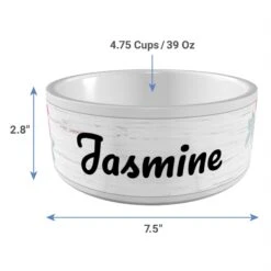 Frisco Personalized Rustic Ceramic Dog Bowl, 4.75-cup, 38oz -Frisco Shop 306764 PT3. AC SS1800 V1636036401