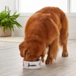 Frisco Personalized Rustic Ceramic Dog Bowl, 4.75-cup, 38oz -Frisco Shop 306764 PT4. AC SS1800 V1639518092