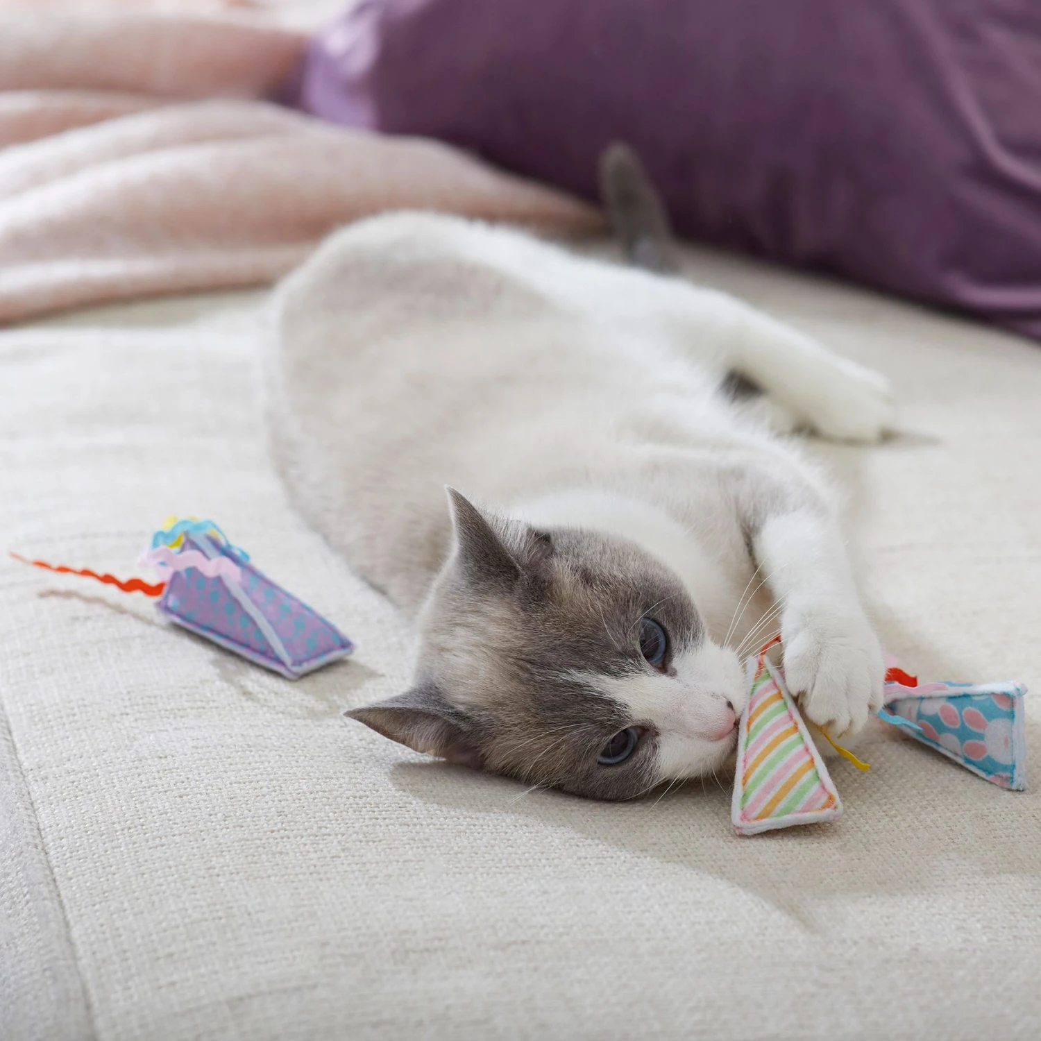 Frisco Spring Party Hat Kickers Cat Toy With Catnip 3 Frisco Spring Party Hat Kickers Cat Toy With Catnip - Image 3