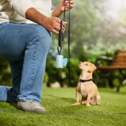 Frisco Dog Poop Bag Square Design Dispenser 12 Frisco Dog Poop Bag Square Design Dispenser -Frisco Shop 309816 PT5. AC SS1800 V1670276147