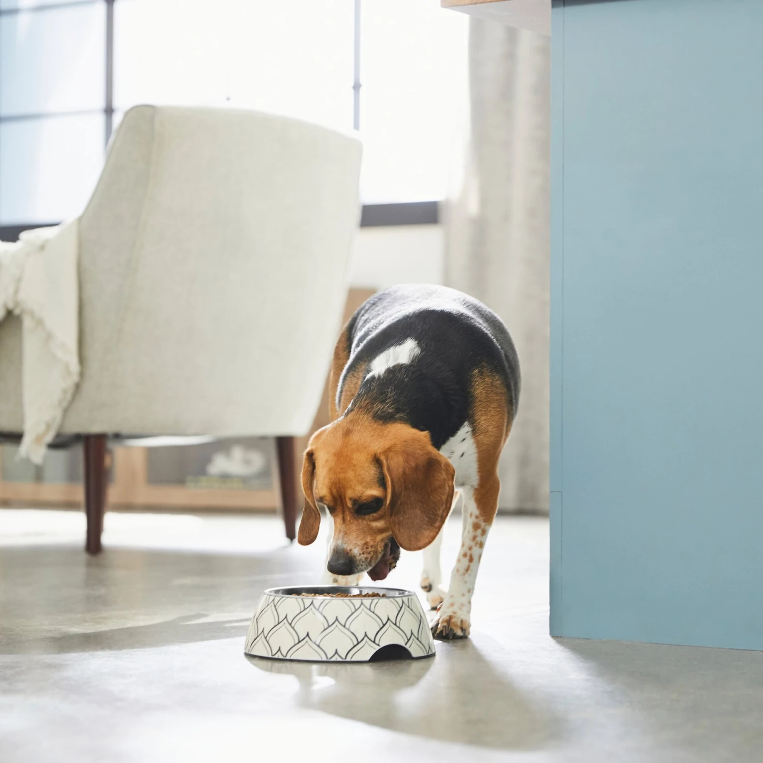 Frisco Moroccan Design Stainless Steel Dog & Cat Bowl 3 Frisco Moroccan Design Stainless Steel Dog & Cat Bowl - Image 3