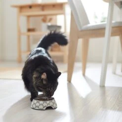 Frisco Moroccan Design Stainless Steel Dog & Cat Bowl 11 Frisco Moroccan Design Stainless Steel Dog & Cat Bowl -Frisco Shop 311963 PT3. AC SS1800 V1642542386