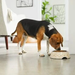 Frisco Circle Design Stainless Steel Dog & Cat Bowl 9 Frisco Circle Design Stainless Steel Dog & Cat Bowl -Frisco Shop 311969 PT2. AC SS1800 V1642542858