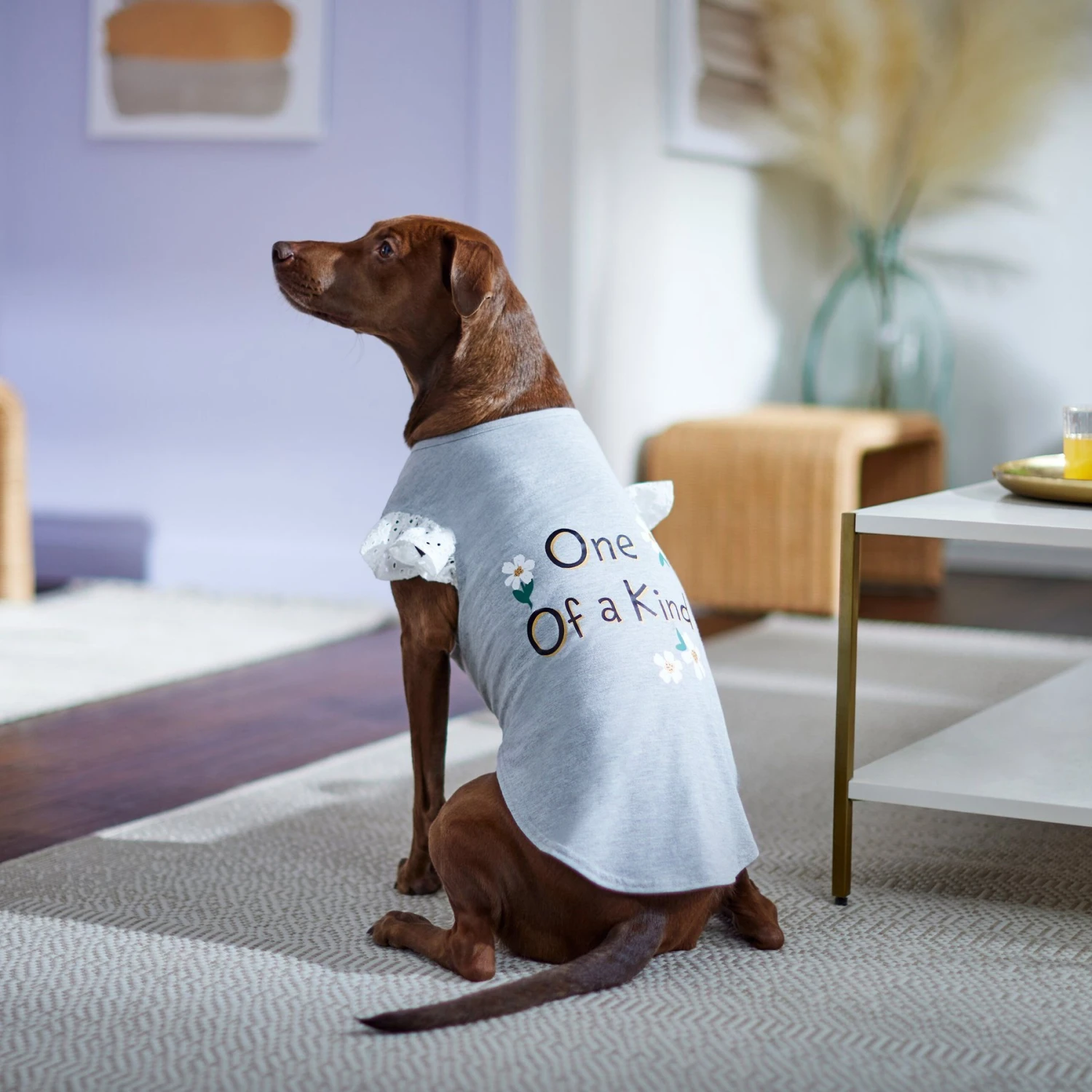 Frisco One Of A Kind Dog & Cat T-Shirt 6 Frisco One Of A Kind Dog & Cat T-Shirt - Image 6