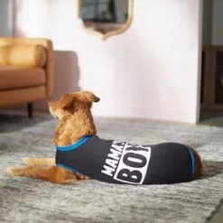 Frisco Mama's Boy Dog & Cat T-Shirt -Frisco Shop 312088 PT5. AC SS1800 V1673361675