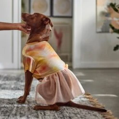 Frisco Tie Dye Pink Tutu Dog & Cat Dress -Frisco Shop 312152 PT8. AC SS1800 V1644528801
