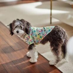 Frisco Flamingo Camp Dog & Cat Shirt -Frisco Shop 312176 PT7. AC SS1800 V1673361358