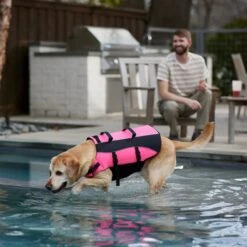 Frisco Ripstop Dog Life Jacket, Pink 17 Frisco Ripstop Dog Life Jacket, Pink -Frisco Shop 312380 PT8. AC SS1800 V1649275938
