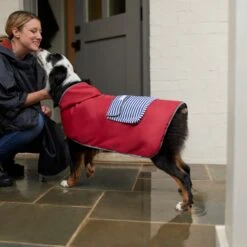 Frisco Lightweight Red Reversible Packable Dog Raincoat -Frisco Shop 315109 PT8. AC SS1800 V1646437779