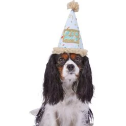 Frisco It's A Party Animal Dog & Cat Hat -Frisco Shop 315140 PT2. AC SS1800 V1646434624