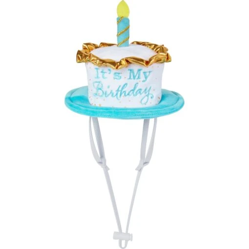 Frisco It's My Birthday Dog & Cat Hat -Frisco Shop 315142 MAIN. AC SS1800 V1646432819
