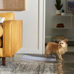 Frisco Washable Dog Potty Pads -Frisco Shop 315712 PT3. AC SS1800 V1644880410