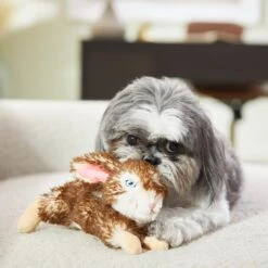 Frisco Realistic Plush Rabbit Plush Dog Toy, Small 5 Frisco Realistic Plush Rabbit Plush Dog Toy, Small -Frisco Shop 316933 PT2. AC SS1800 V1641400634