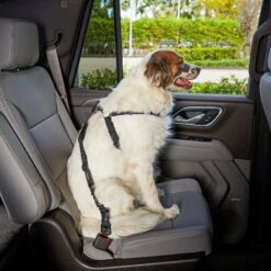 Frisco Adjustable Dog Seatbelt Tether & Frisco Quilted Water Resistant Bench Car Seat Cover -Frisco Shop 318966 PT3. AC SS1800 V1630360879