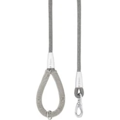 Frisco Outdoor Ultra Reflective Nylon Dog Collar & Frisco Outdoor Ultra Reflective Rope Leash With Padded Handle -Frisco Shop 319102 PT6. AC SS1800 V1631147201